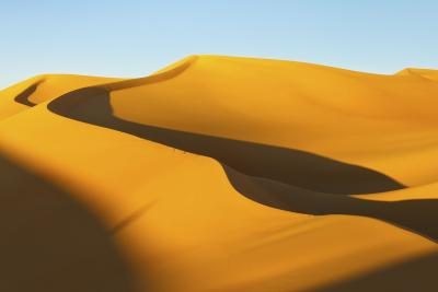 woestijn herverbinden